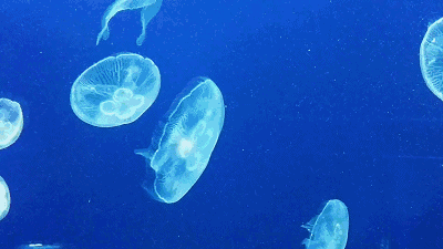 “乘风破浪”首选！这些超震撼的美景，听过一半的都是资深玩家