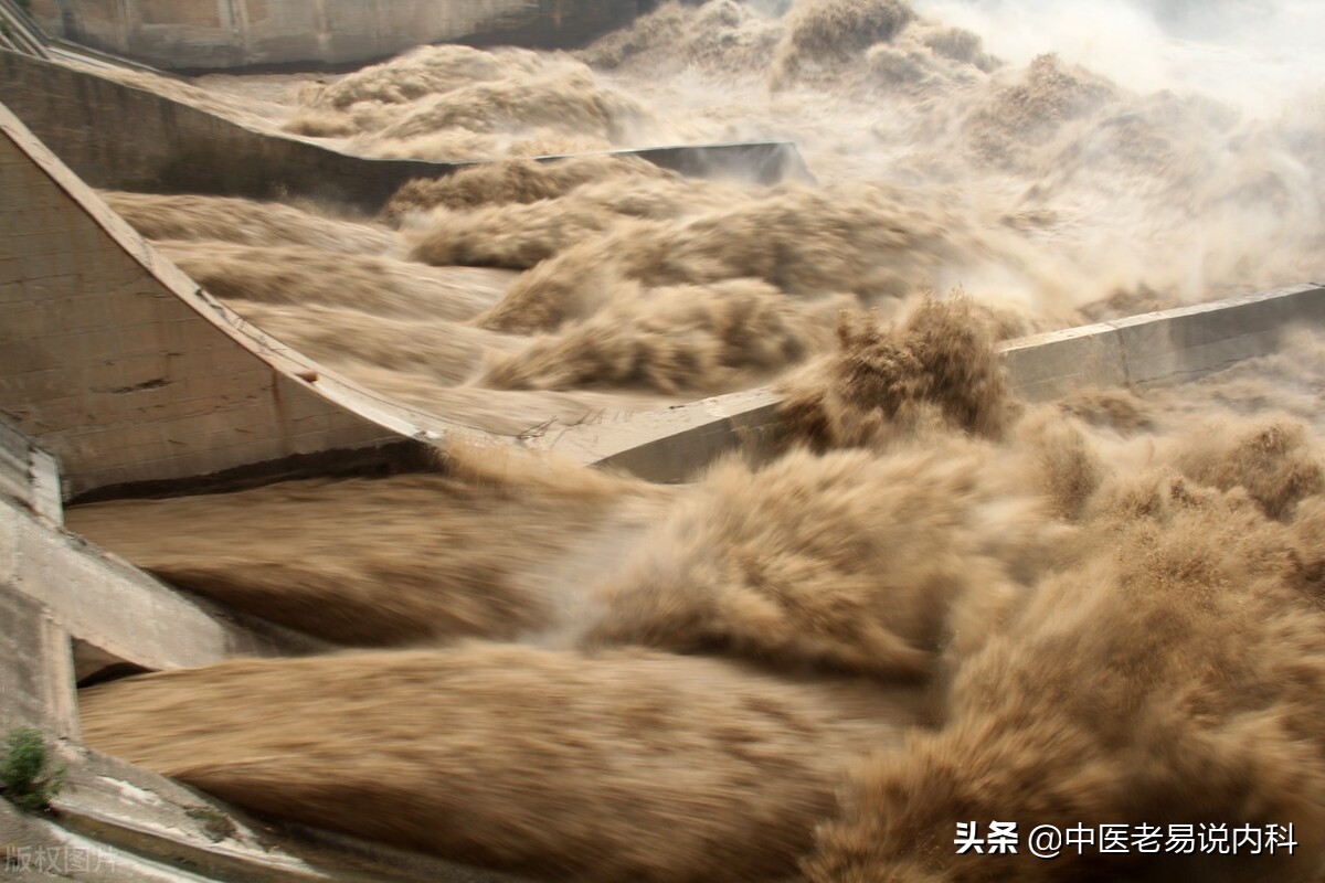 How to make up for kidney yang deficiency?There are fast supplements