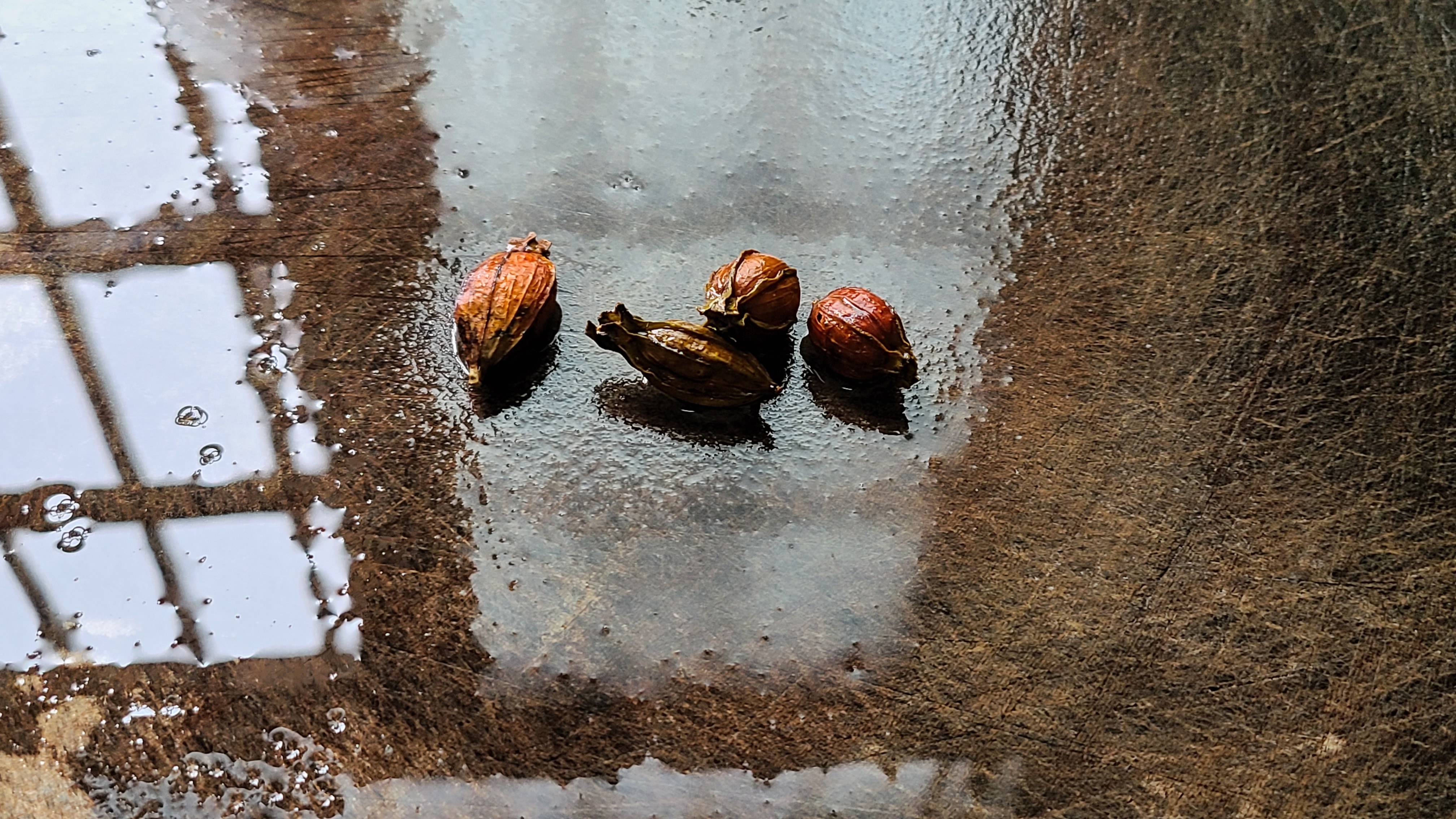 廣東鹽焗雞翅的做法，教你輕鬆做出來，鹹香好吃，吃著太爽了