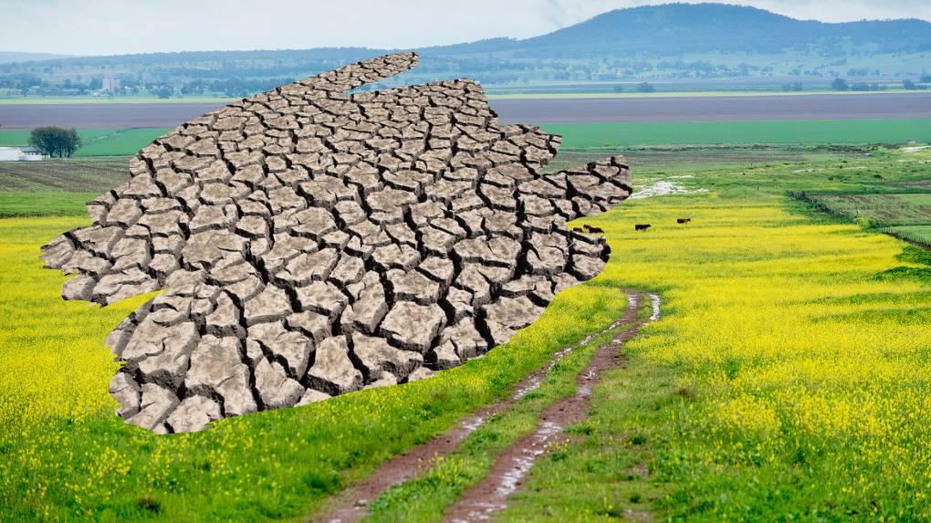 �й���ʳΣ�������������ڱ�ƣ�ǧ���궫������50������ʧ