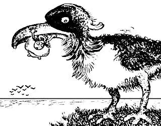 传说中15张超神奇的图，听说智商多少一看就暴露