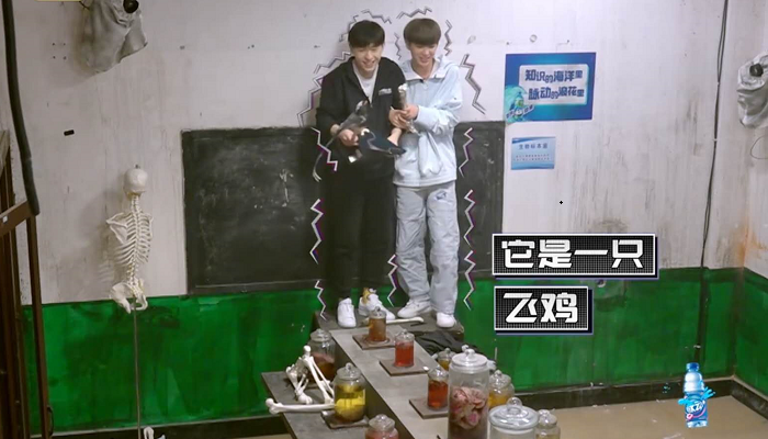 怕尖嘴动物的男艺人，张艺兴找孙红雷求助，他