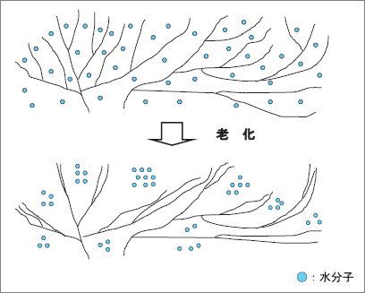 一分钟认识烘焙原料 | 淀粉