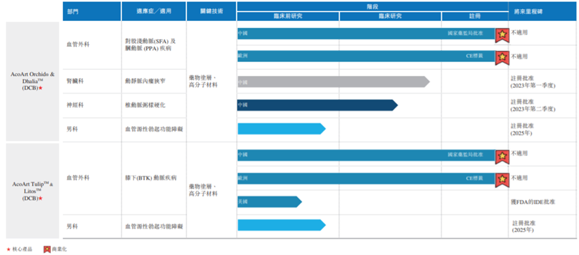先瑞达医疗：新兴血管疾病治疗，国内**DCB治疗解决方案