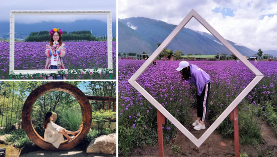 低成本打造高颜值农庄景观