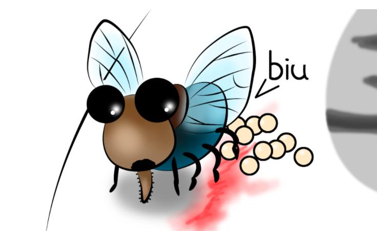 Picture Ifa Fly What is the use of flies on earth?Will there be any serious ...