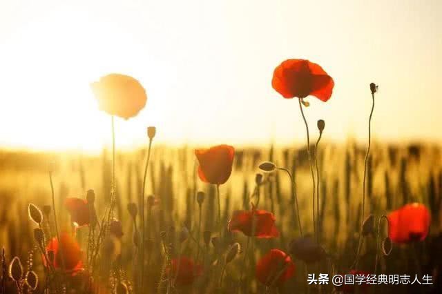 炎炎夏日已来临，100首夏天古诗词带你清凉一夏