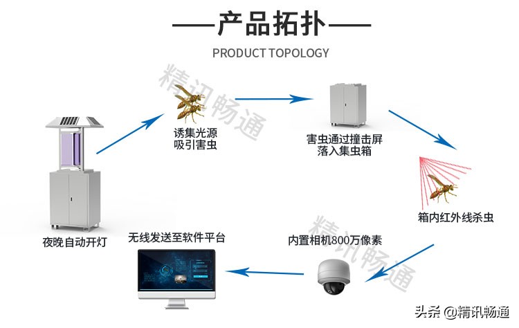 虫情监测系统虫情测报灯