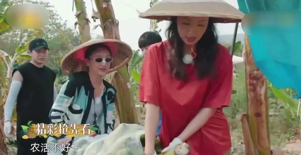 《向往4》嘉宾有来头，彭彭许魏洲同学重逢，谭松韵前任现任齐聚