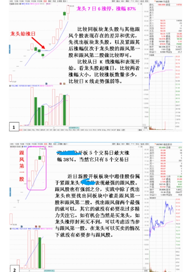 龙头股与同板块其他个股同时段的表现状况，从