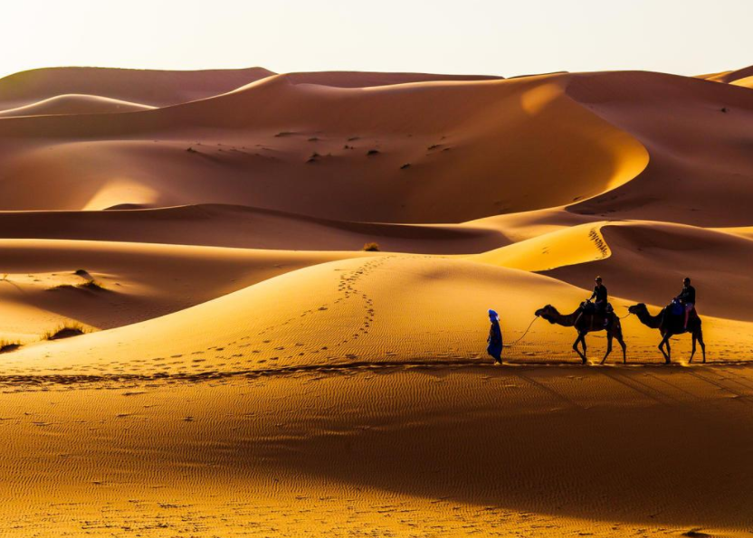 驴友常说“去沙漠看到石头要捡起来，不捡是傻子”，是为何？