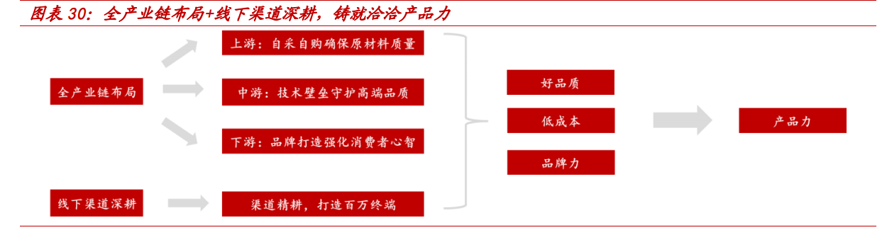 洽洽食品专题报告：瓜子龙头向多元化坚果品牌转型之路