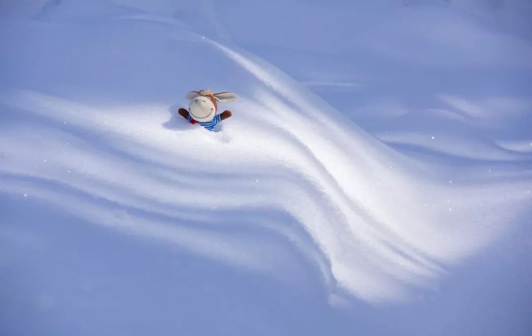 Such winter is really beautiful! You also can try so pat