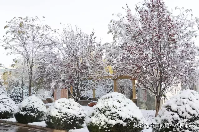 甘肃初雪|甘肃18所高校初学雪景大PK,快来看看有你的母校没?