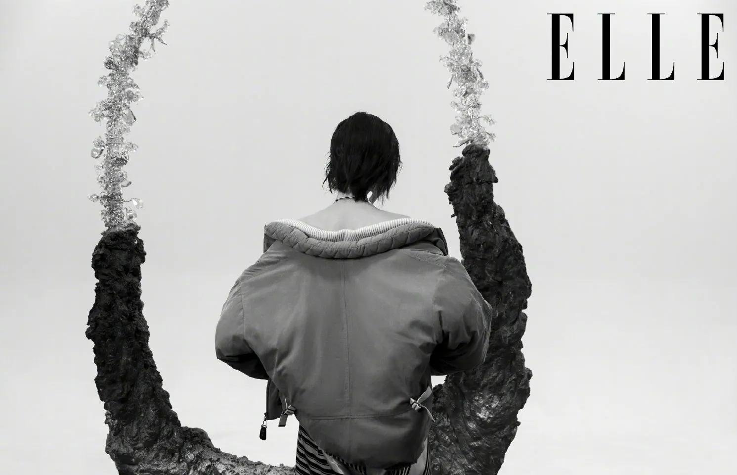 2 dimension pink send Liu Yifei