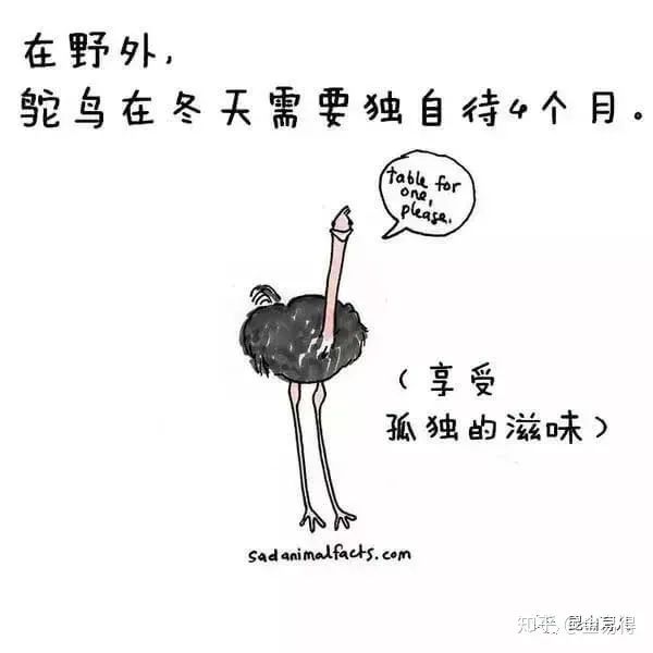 30個(ge) 有趣的科普小星空体育官网入口网站，你知道幾個(ge) ?