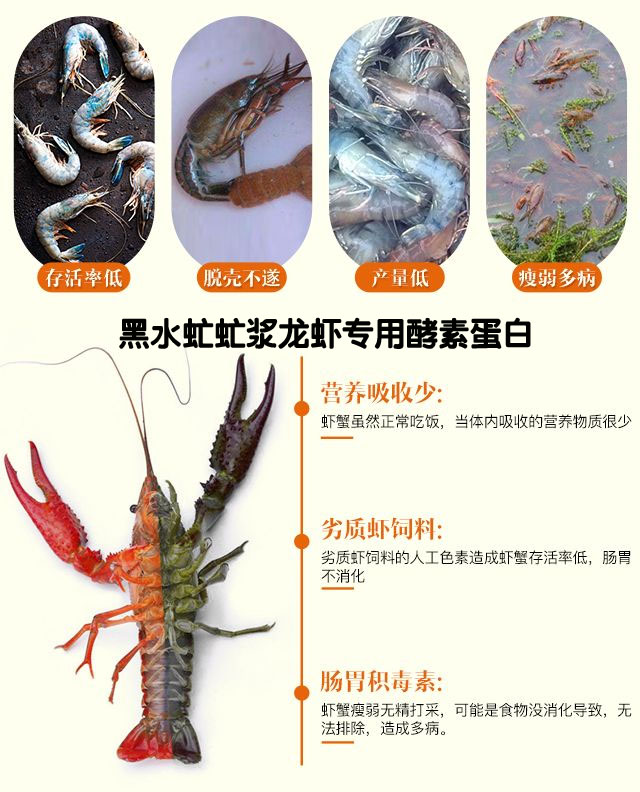王泽铺利用黑水虻养殖搭建的三维循环农业的核心是什么？