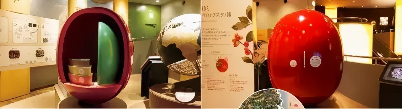 日本美食工业旅游：精彩纷呈，体验丰富