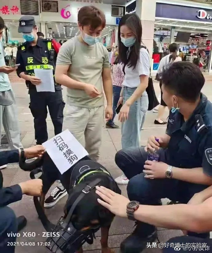 雞蛋居然能下蛋中蛋