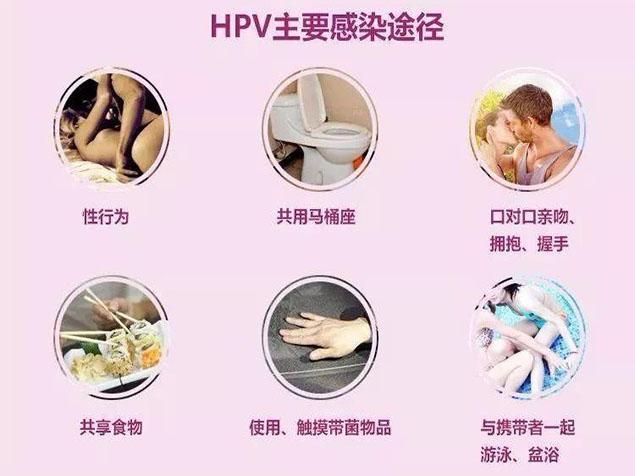 hpv16阳性是什么意思