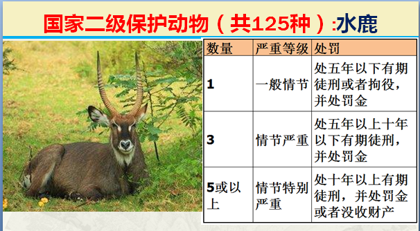 国家最新125类二级野生保护名录，图片及违法对应刑责