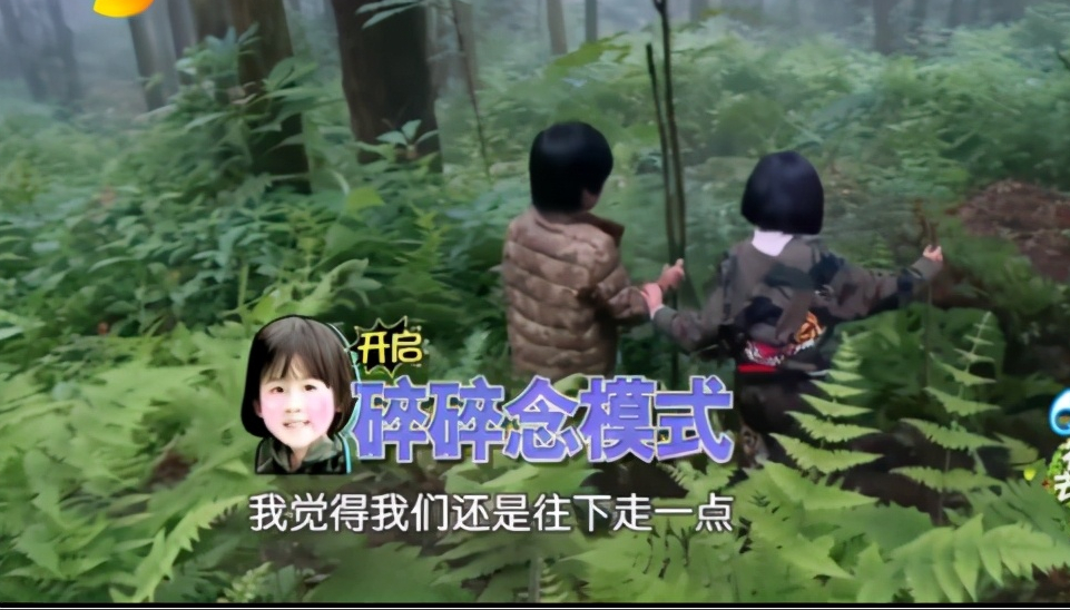 重溫《爸爸去哪兒》名場面，都是小機靈鬼啊