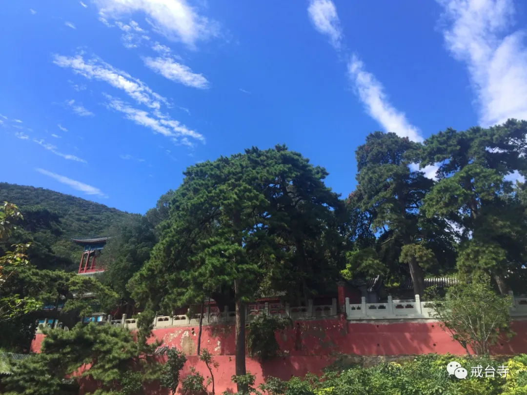 来戒台寺寻觅“暑”于你的夏日清凉