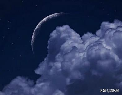 春暖花开的唯美句子：淡看流年烟火，细品岁月静好图片