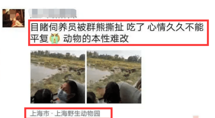 上海野生动物园熊伤人只剩骨头，只剩事发原因流出，太可惜了