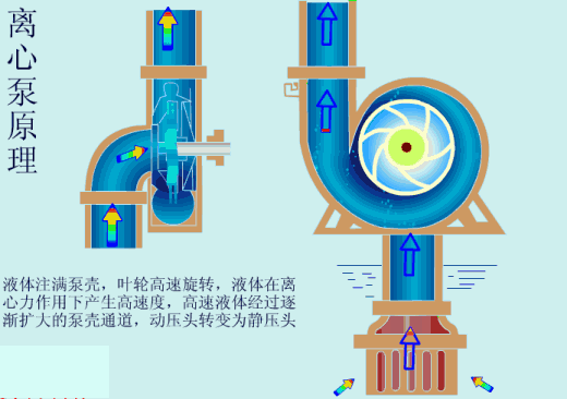 20ֱõֱܲ۵ѡ;ָ