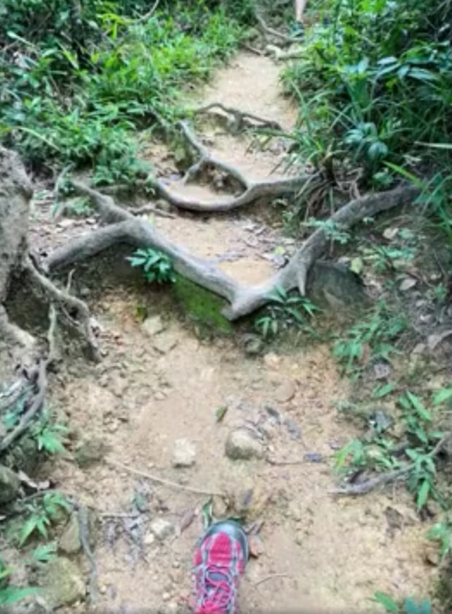 好幸福！郭晶晶晒一家五口温馨日常，与霍启刚爬山自拍秀足恩爱