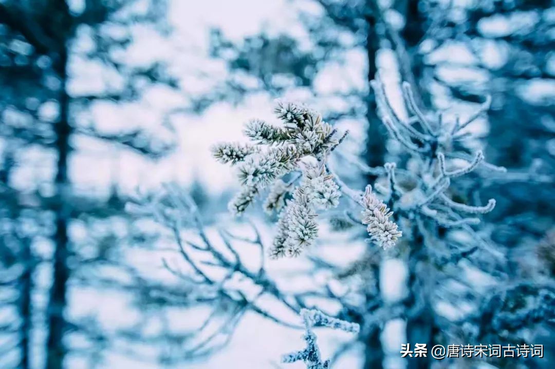 咏雪最好的8首诗词，藏着千古名句，哪一首才是你心中的第一？-第1张图片-非凡网