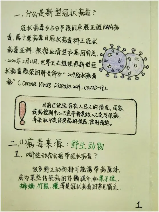 健康科普大赛获奖作品展示①|新冠肺炎防控知识宣传手册