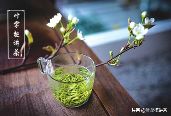 让你全面了解中国十大名茶——碧螺春，以及如何分辨真假