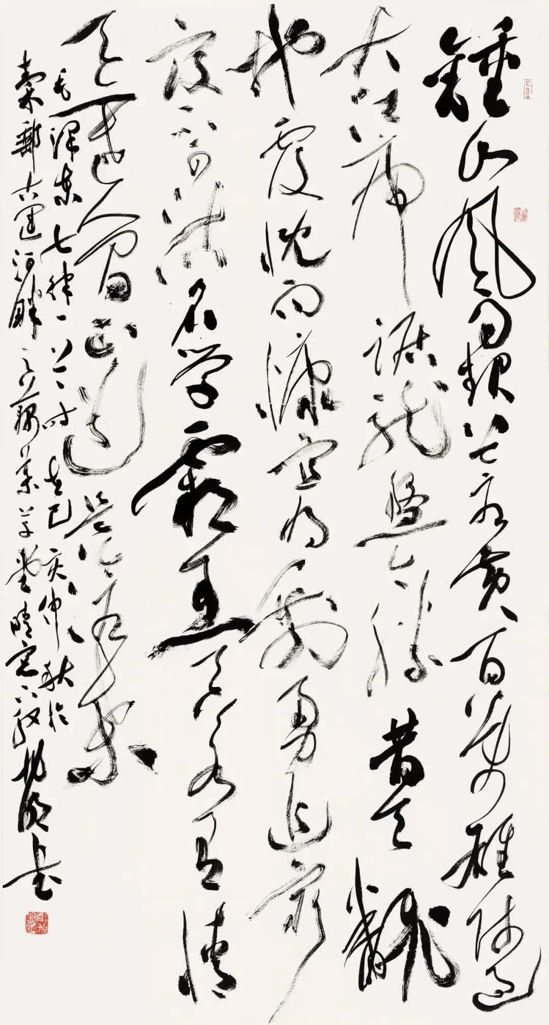 鷨ʦûдիţлʦ