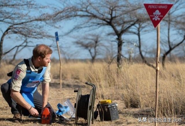 哈里向戴安娜支持的慈善机构传递最真挚情感，