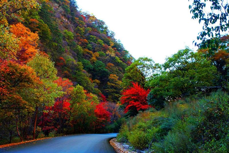 Shanxi's beautiful tourist check-in place, it becomes a paradise on earth in autumn, which is amazing
