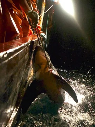 疫情未结束，另一场席卷70亿人的危机还在发生