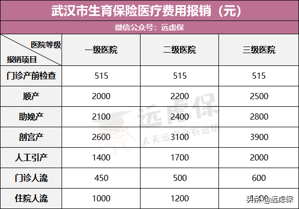 一文读懂生育保险，不会报销你就亏大了 第7张