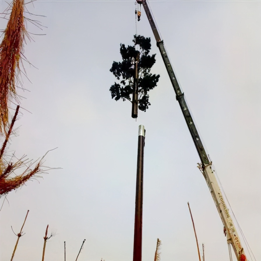 【弱电趣闻】心疼通讯人一秒,看看这些脑洞大开的基站伪装