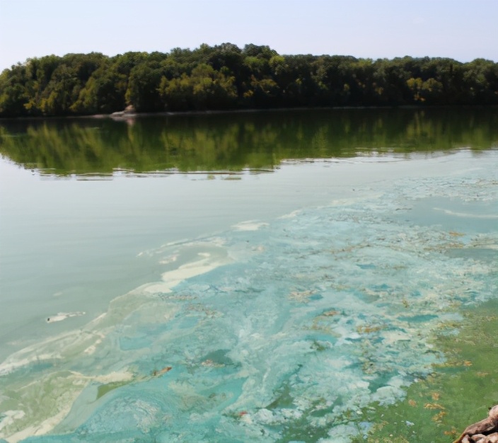 The Ganges water turned green, experts issued urgent warnings, and