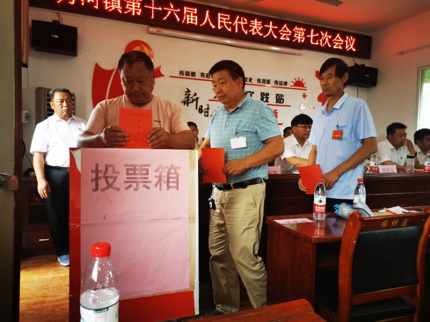 桐柏县月河镇第十六届人民代表大会第七次会议胜利召开