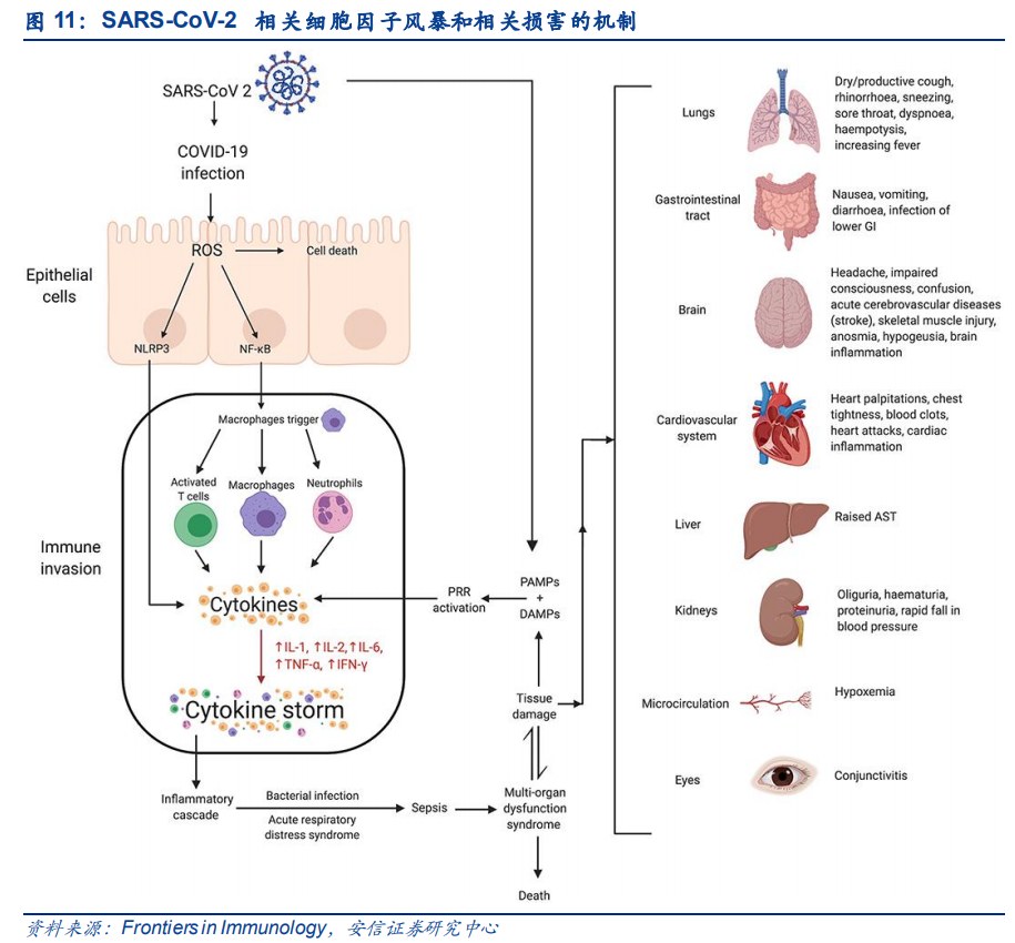 新冠药物行业专题报告：疫情长期化可能性下的最后一道防线