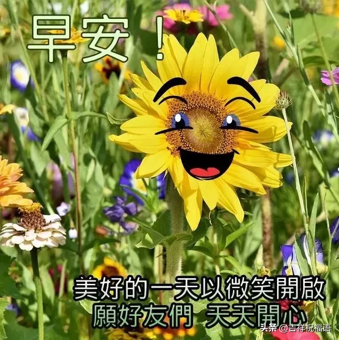 问候大家早上好快乐的早安短信祝福，早上好表情美图图片