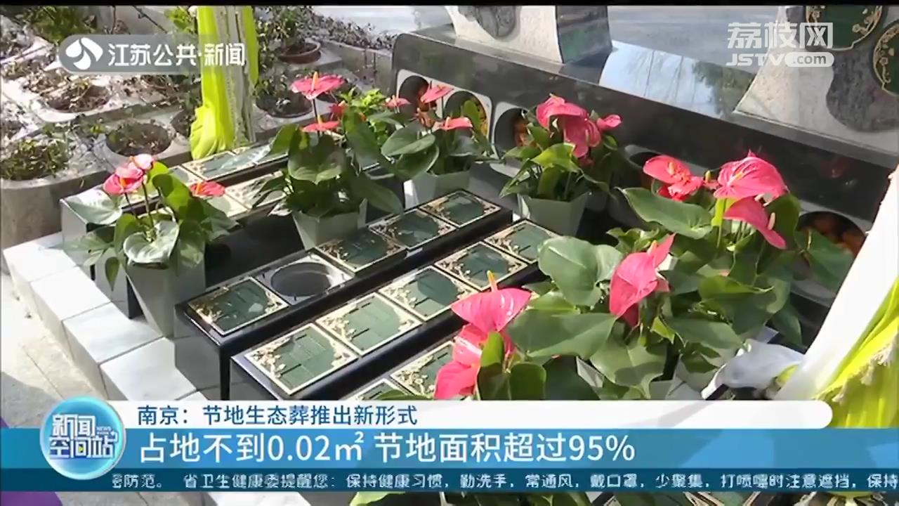 墓穴占地0.02㎡，仅有巴掌大小 南京节地生态葬推出新形式