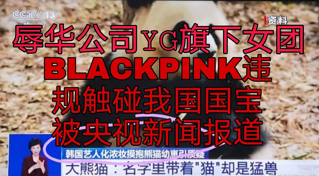 A Di amounts to Si Sao to operate, do not send statement to apologize not only, still change official cover into Korea female group