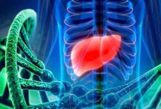 肝臟不好看4個地方就知道，做好5件事情，養肝護肝很輕鬆