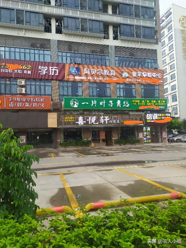 风清扬是马云在阿里巴巴的花名，在这里也是一个有故事的店名。