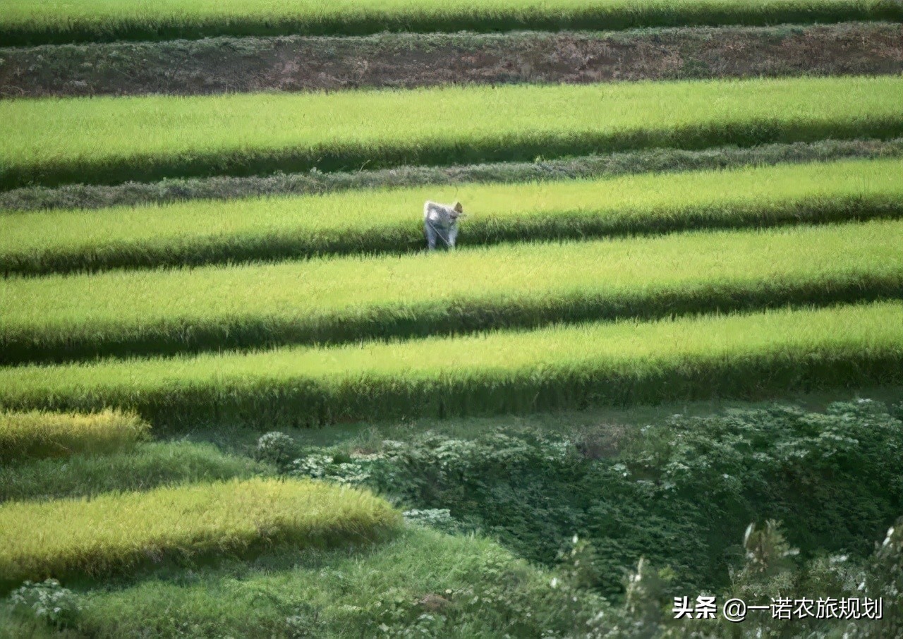 大旅居时代——康养旅居地产华丽登场