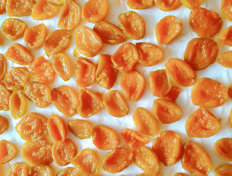 图片[5]-杏好吃不易保存？教你做成杏干 不用烤箱无添加剂 3天就能吃-起舞食谱网